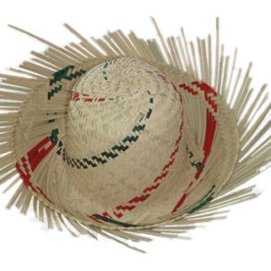 Sombrero mechudo de palma pintado